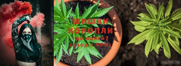 каннабис Арсеньев