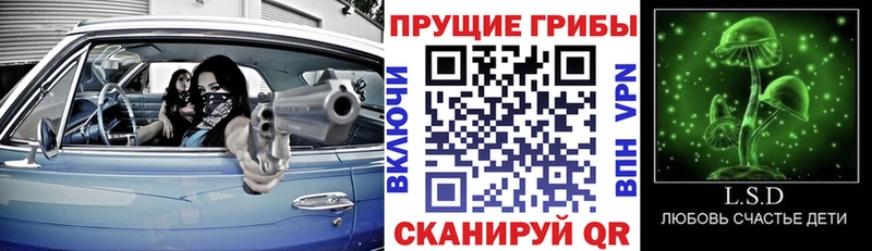 наркота  Колпашево  Галлюциногенные грибы ЛСД 